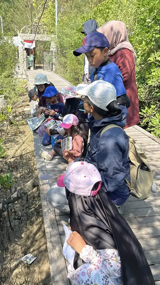 Peserta mengamati mangrove dari jalur kayu