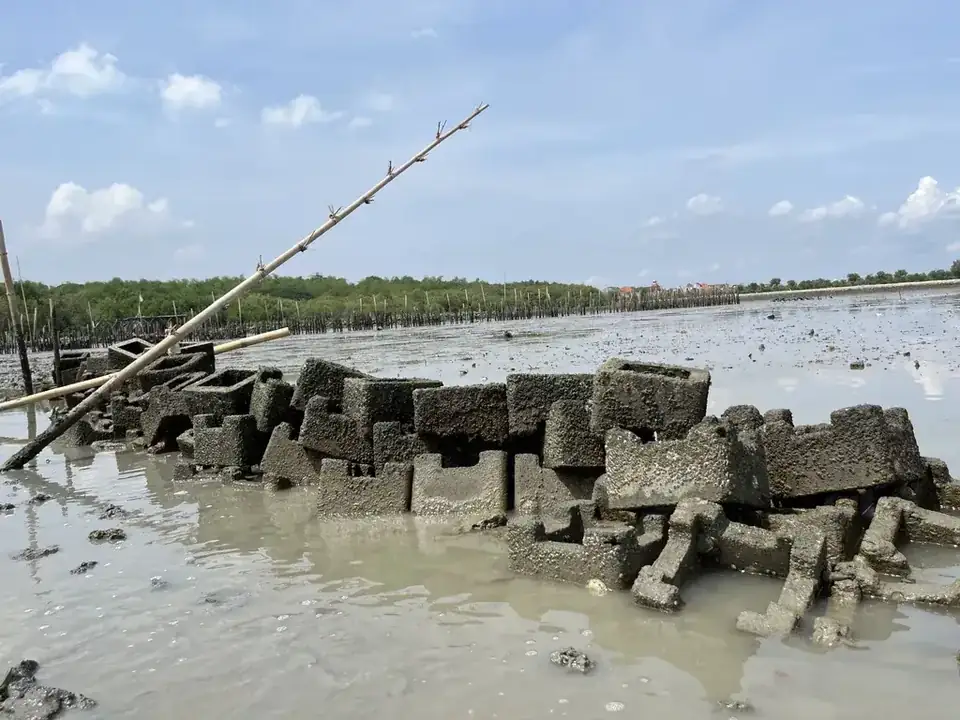 Oyster castle terpasang saat air surut